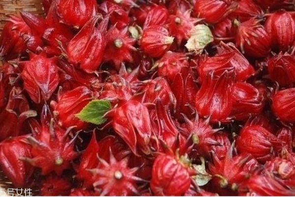 什么是洛神花呢 洛神花有什么用呢 什么是洛神花呢 洛神花有什么用呢