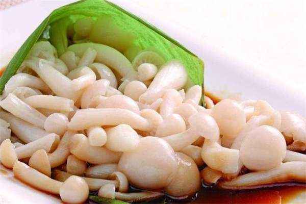 白玉菇不能和什么一起吃 白玉菇和什么相克 白玉菇不能和什么一起吃 白玉菇和什么相克