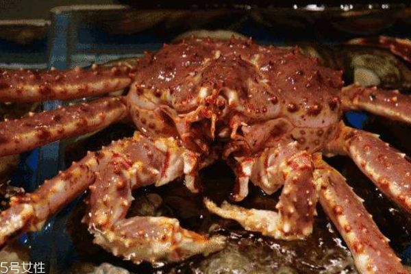 為什么帝王蟹叫帝王蟹 帝王蟹產自哪里呢 為什么帝王蟹叫帝王蟹 帝王蟹產自哪里呢