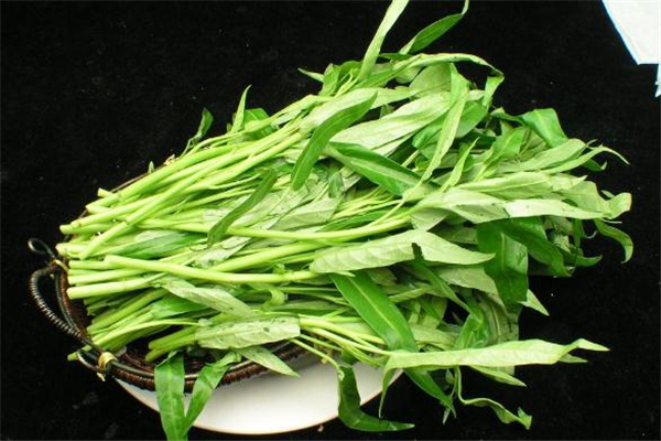 空心菜一天吃多少合適 空心菜可以經(jīng)常吃嗎 空心菜一天吃多少合適 空心菜可以經(jīng)常吃嗎