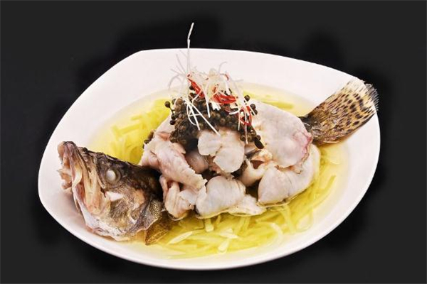 桂魚(yú)什么人不能吃 桂魚(yú)宜忌人群