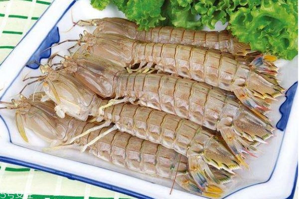 什么是蝦爬子呢 蝦爬子有什么營養(yǎng)呢 什么是蝦爬子呢 蝦爬子有什么營養(yǎng)呢