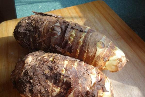 芋頭發(fā)霉了還能吃嗎 發(fā)霉的芋頭吃了會怎樣 芋頭發(fā)霉了還能吃嗎 發(fā)霉的芋頭吃了會怎樣