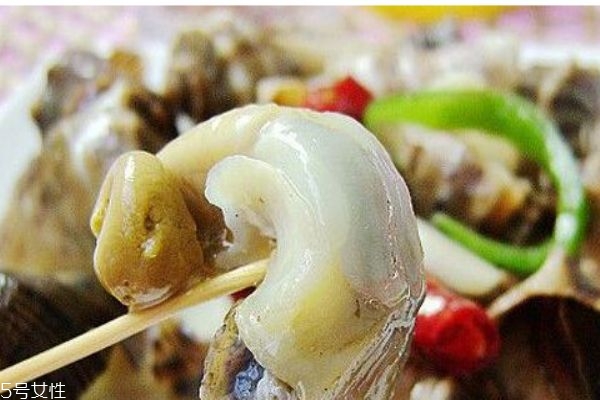 海螺生活在哪里呢 海螺有什么營養(yǎng)價值嗎 海螺生活在哪里呢 海螺有什么營養(yǎng)價值嗎