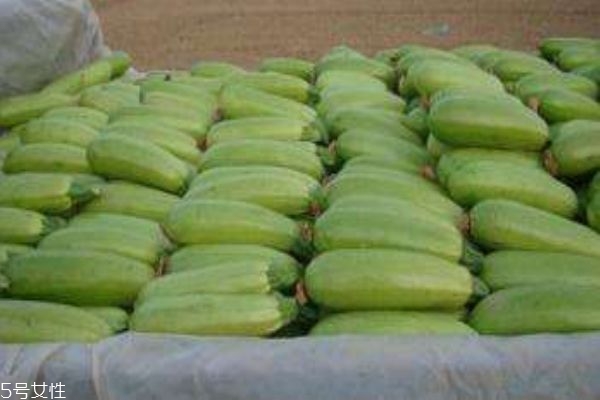角瓜可以怎么做呢 角瓜的成熟期在幾月份呢 角瓜可以怎么做呢 角瓜的成熟期在幾月份呢