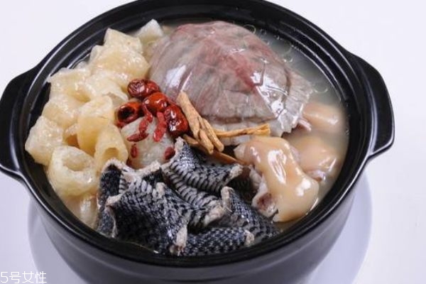 烏龜湯怎么做呢 烏龜湯有什么好處呢 烏龜湯怎么做呢 烏龜湯有什么好處呢