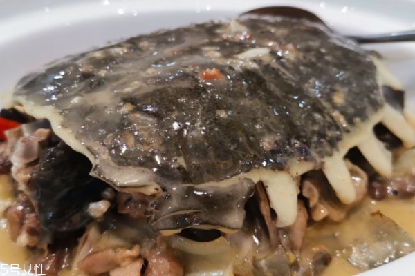 烏龜湯怎么做呢 烏龜湯有什么好處呢 烏龜湯怎么做呢 烏龜湯有什么好處呢