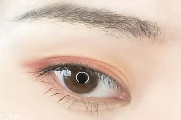 雙眼皮怎么畫眼影好看 雙眼皮畫眼影教程 雙眼皮怎么畫眼影好看 雙眼皮畫眼影教程