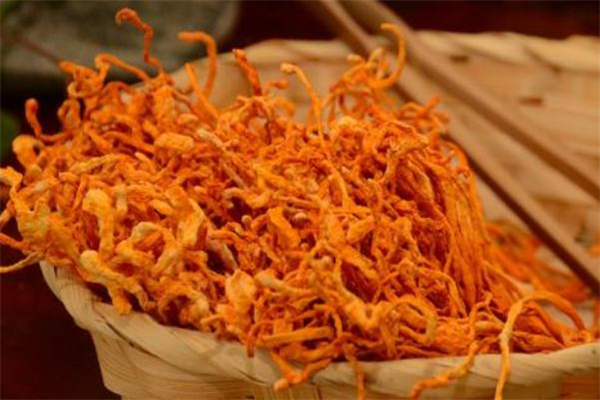 蟲(chóng)草花能長(zhǎng)期吃嗎 蟲(chóng)草花能長(zhǎng)期泡水喝嗎