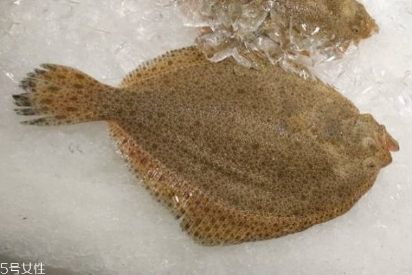 孕婦可以吃多寶魚嗎 多寶魚有什么作用呢 孕婦可以吃多寶魚嗎 多寶魚有什么作用呢