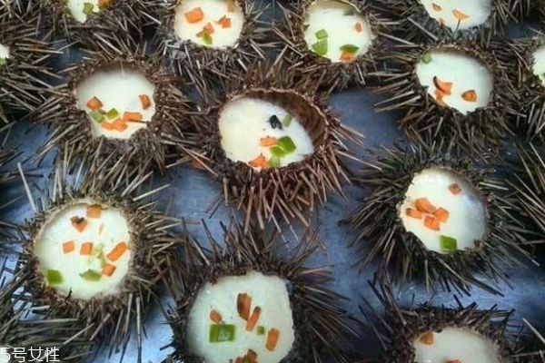 海膽生活在什么地方呢 海膽有什么營養(yǎng)價(jià)值呢 海膽生活在什么地方呢 海膽有什么營養(yǎng)價(jià)值呢