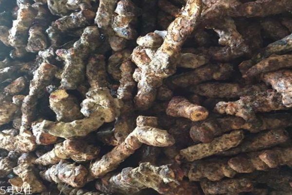 茯苓是什么呢 茯苓有什么作用呢 茯苓是什么呢 茯苓有什么作用呢