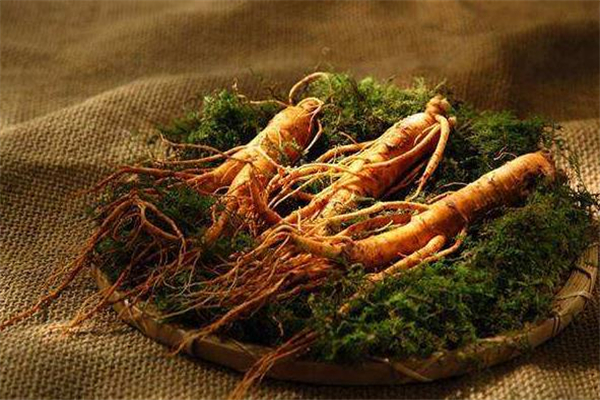 野山參可以保存多久 野山參能存放多長時間 野山參可以保存多久 野山參能存放多長時間