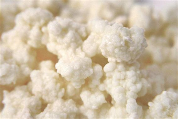 雪蓮菌是什么 雪蓮菌的功效與作用 雪蓮菌是什么 雪蓮菌的功效與作用