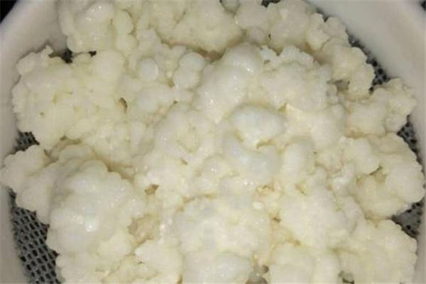 雪蓮菌多少錢一斤 雪蓮菌價(jià)格 雪蓮菌多少錢一斤 雪蓮菌價(jià)格