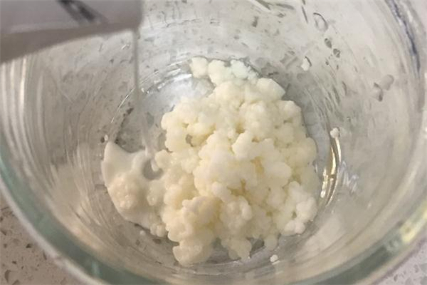 雪蓮菌多少錢一斤 雪蓮菌價(jià)格 雪蓮菌多少錢一斤 雪蓮菌價(jià)格