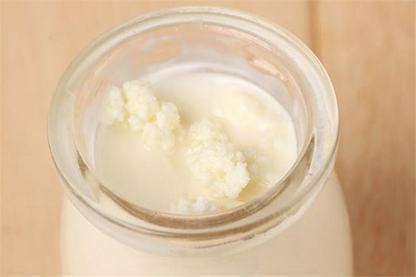 雪蓮菌可以長期喝嗎 雪蓮菌長期喝有害嗎 雪蓮菌可以長期喝嗎 雪蓮菌長期喝有害嗎