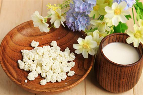 雪蓮菌能放冰箱嗎 雪蓮菌怎么保存 雪蓮菌能放冰箱嗎 雪蓮菌怎么保存