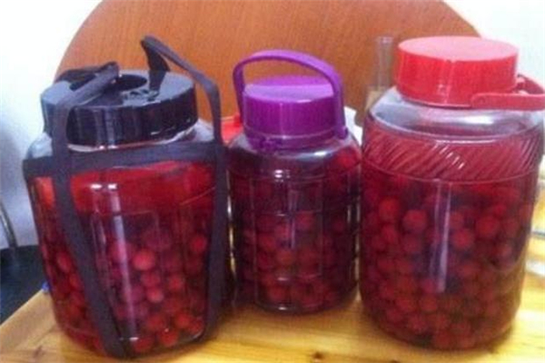 空腹能喝楊梅酒嗎 空腹喝楊梅酒能止瀉嗎 空腹能喝楊梅酒嗎 空腹喝楊梅酒能止瀉嗎