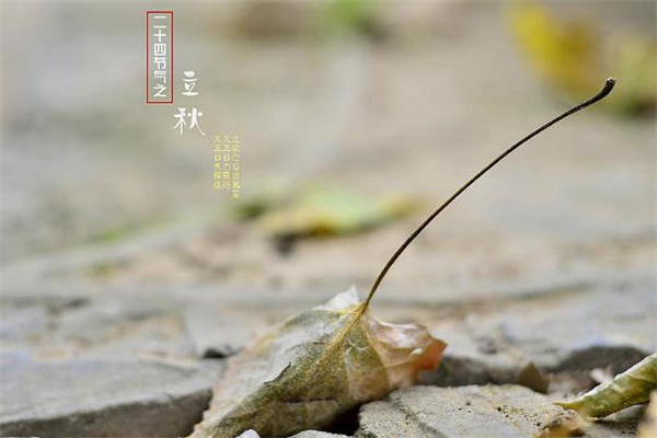 立秋無(wú)雨是空秋有什么說(shuō)法 立秋不下雨真的影響收成嗎 立秋無(wú)雨是空秋有什么說(shuō)法 立秋不下雨真的影響收成嗎