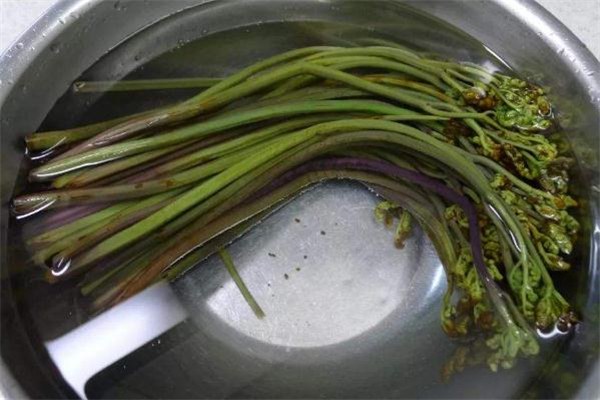 蕨菜可以包包子嗎 蕨菜包子的做法 蕨菜可以包包子嗎 蕨菜包子的做法