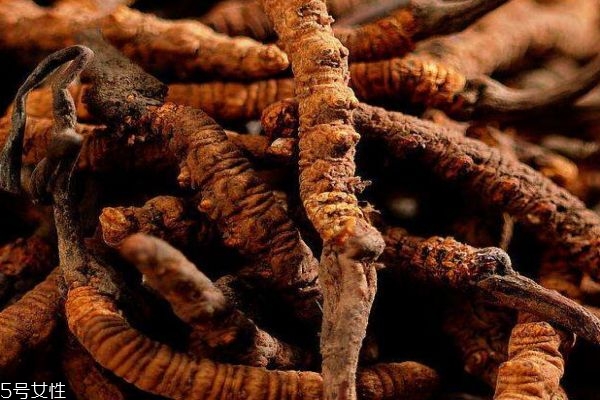 什么是冬蟲夏草呢 冬蟲夏草有什么作用呢 什么是冬蟲夏草呢 冬蟲夏草有什么作用呢