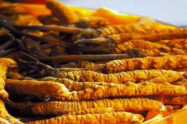 什么是冬蟲夏草呢 冬蟲夏草有什么作用呢 什么是冬蟲夏草呢 冬蟲夏草有什么作用呢