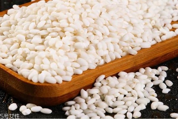 什么是江米呢 江米有什么作用呢 什么是江米呢 江米有什么作用呢