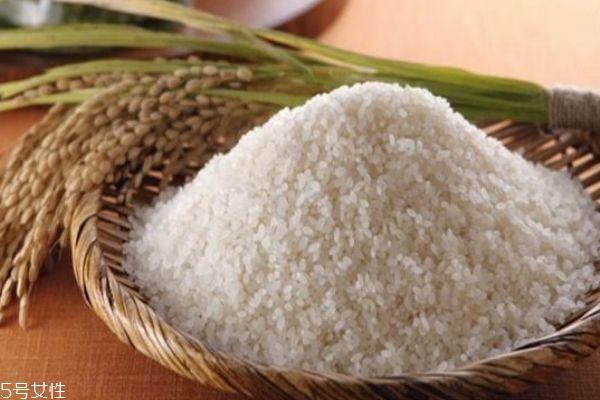 什么是江米呢 江米有什么作用呢 什么是江米呢 江米有什么作用呢