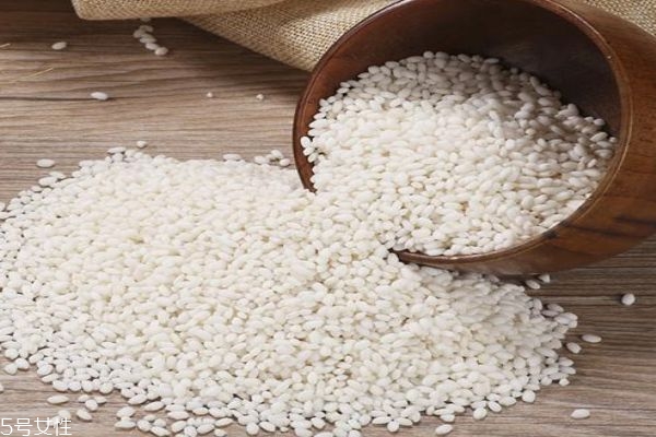 什么是江米呢 江米有什么作用呢 什么是江米呢 江米有什么作用呢