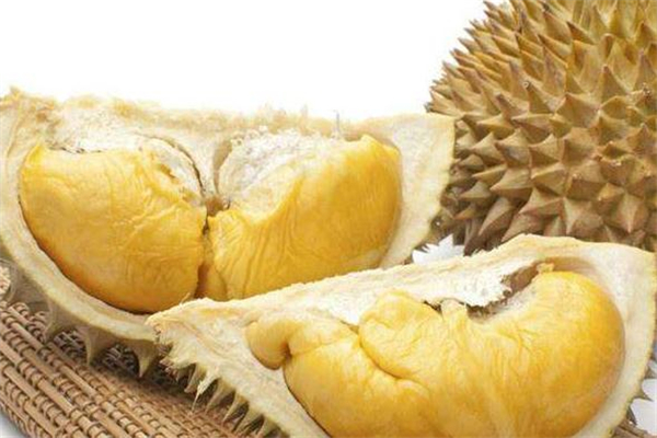 患有脂肪肝的人能吃榴蓮嗎 脂肪肝患者吃了榴蓮會怎樣 患有脂肪肝的人能吃榴蓮嗎 脂肪肝患者吃了榴蓮會怎樣
