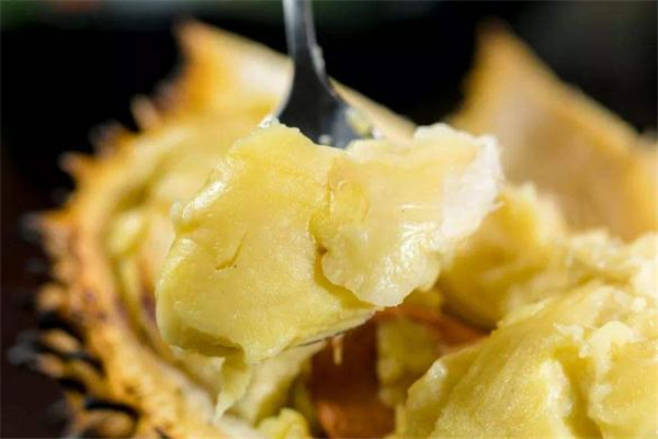 患有脂肪肝的人能吃榴蓮嗎 脂肪肝患者吃了榴蓮會怎樣 患有脂肪肝的人能吃榴蓮嗎 脂肪肝患者吃了榴蓮會怎樣