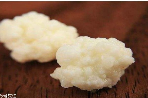 什么是雪蓮菌呢 雪蓮菌有什么作用呢 什么是雪蓮菌呢 雪蓮菌有什么作用呢