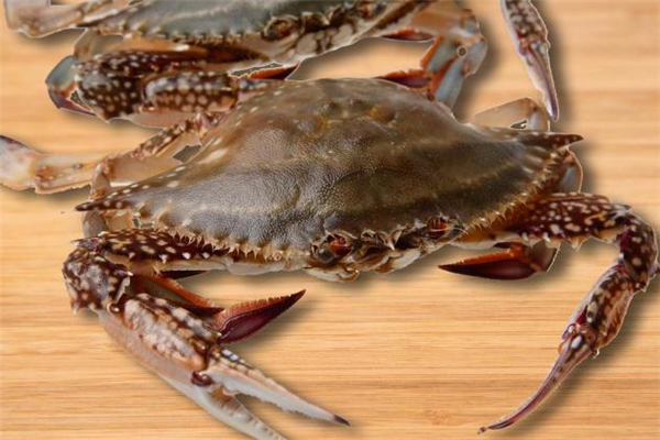 梭子蟹公母怎么區(qū)分 梭子蟹公的好吃還是母的 梭子蟹公母怎么區(qū)分 梭子蟹公的好吃還是母的