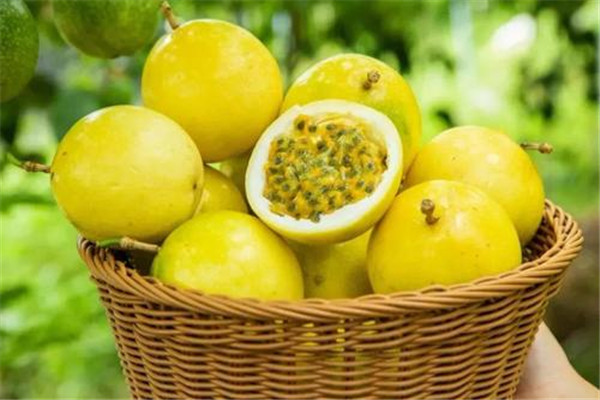 百香果能放多久 百香果怎么樣存放 百香果能放多久 百香果怎么樣存放