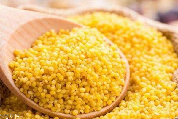 黃米是什么米呢 黃米和小米有什么區(qū)別呢 黃米是什么米呢 黃米和小米有什么區(qū)別呢