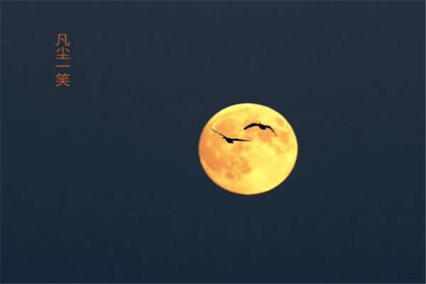 中秋為什么要吃螃蟹 中秋吃螃蟹好嗎 中秋為什么要吃螃蟹 中秋吃螃蟹好嗎