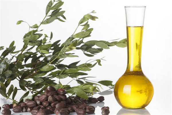 荷荷巴油會堵塞毛孔嗎 荷荷巴油是什么 荷荷巴油會堵塞毛孔嗎 荷荷巴油是什么