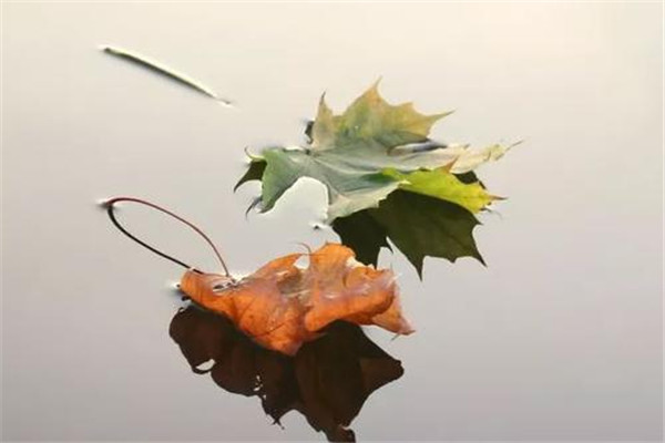 立秋以后吃什么 立秋應(yīng)該怎么吃 立秋以后吃什么 立秋應(yīng)該怎么吃