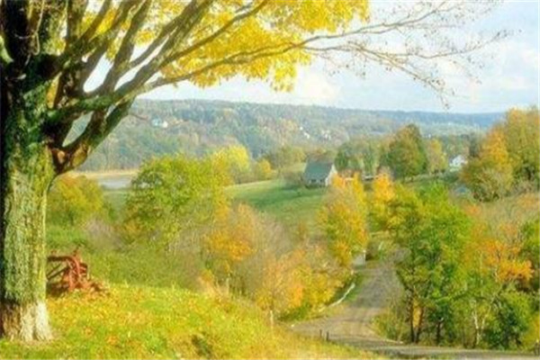 立秋以后吃什么 立秋應(yīng)該怎么吃 立秋以后吃什么 立秋應(yīng)該怎么吃