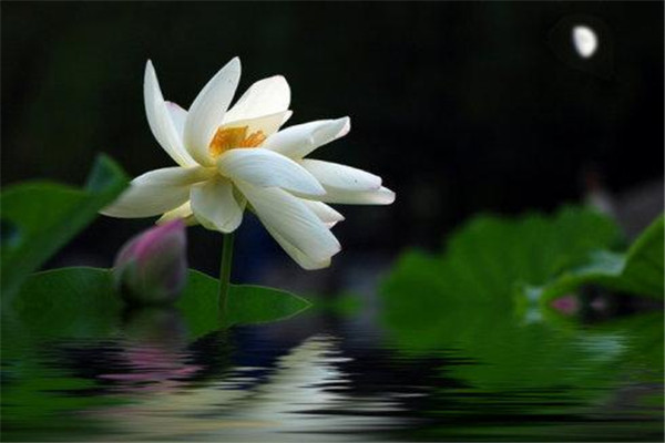 立秋以后不吃瓜嗎 立秋以后怎么吃 立秋以后不吃瓜嗎 立秋以后怎么吃