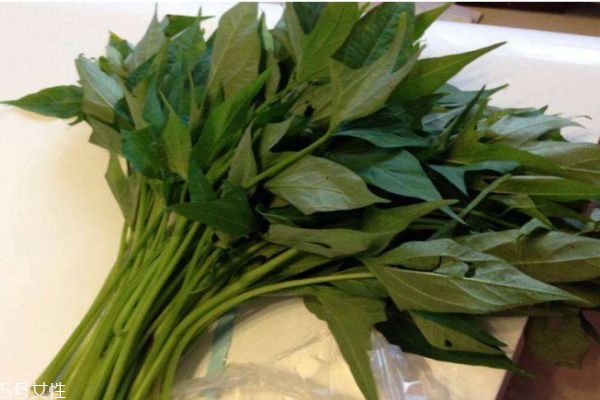 紅薯葉有什么好處呢 怎么做紅薯葉好吃呢 紅薯葉有什么好處呢 怎么做紅薯葉好吃呢