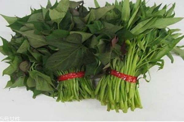 紅薯葉一般是幾月上市呢 紅薯葉有什么食用禁忌嗎 紅薯葉一般是幾月上市呢 紅薯葉有什么食用禁忌嗎