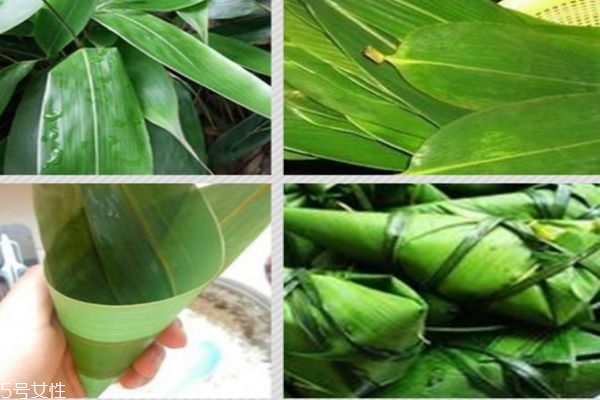 粽葉是什么植物的葉子 粽葉有什么作用呢 粽葉是什么植物的葉子 粽葉有什么作用呢
