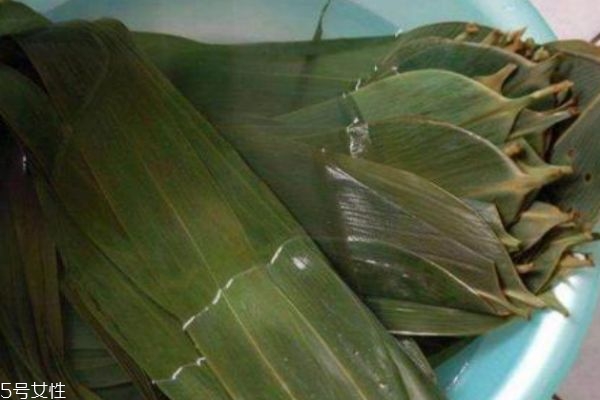 粽葉是什么植物的葉子 粽葉有什么作用呢 粽葉是什么植物的葉子 粽葉有什么作用呢