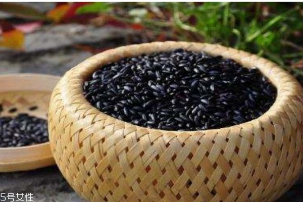 黑米有什么使用禁忌嗎 孕婦可以吃黑米粥嗎 黑米有什么使用禁忌嗎 孕婦可以吃黑米粥嗎