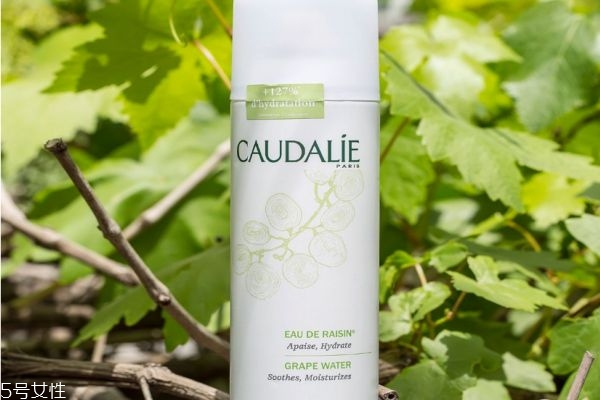 礦泉水可以代替補水噴霧嗎 補水噴霧的作用 礦泉水可以代替補水噴霧嗎 補水噴霧的作用