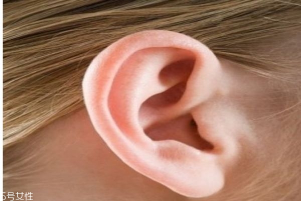 什么是豐耳垂呢 如何豐耳垂呢 什么是豐耳垂呢 如何豐耳垂呢
