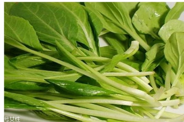 什么是雞毛菜 雞毛菜有什么作用呢 什么是雞毛菜 雞毛菜有什么作用呢