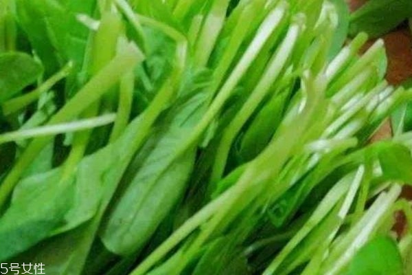 雞毛菜有什么食用禁忌嗎 雞毛菜一般幾月份上市呢 雞毛菜有什么食用禁忌嗎 雞毛菜一般幾月份上市呢